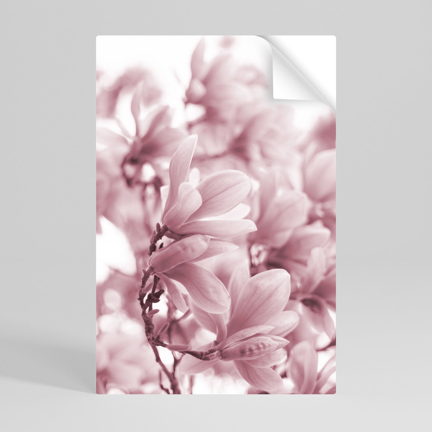 PINK BLOSSOM DREAM Póster Autocolante Vertical