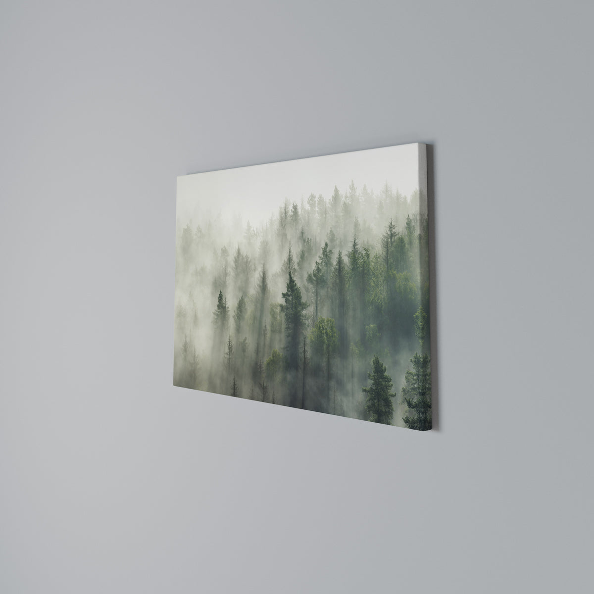 MISTY FOREST Horizontal Canvas Print