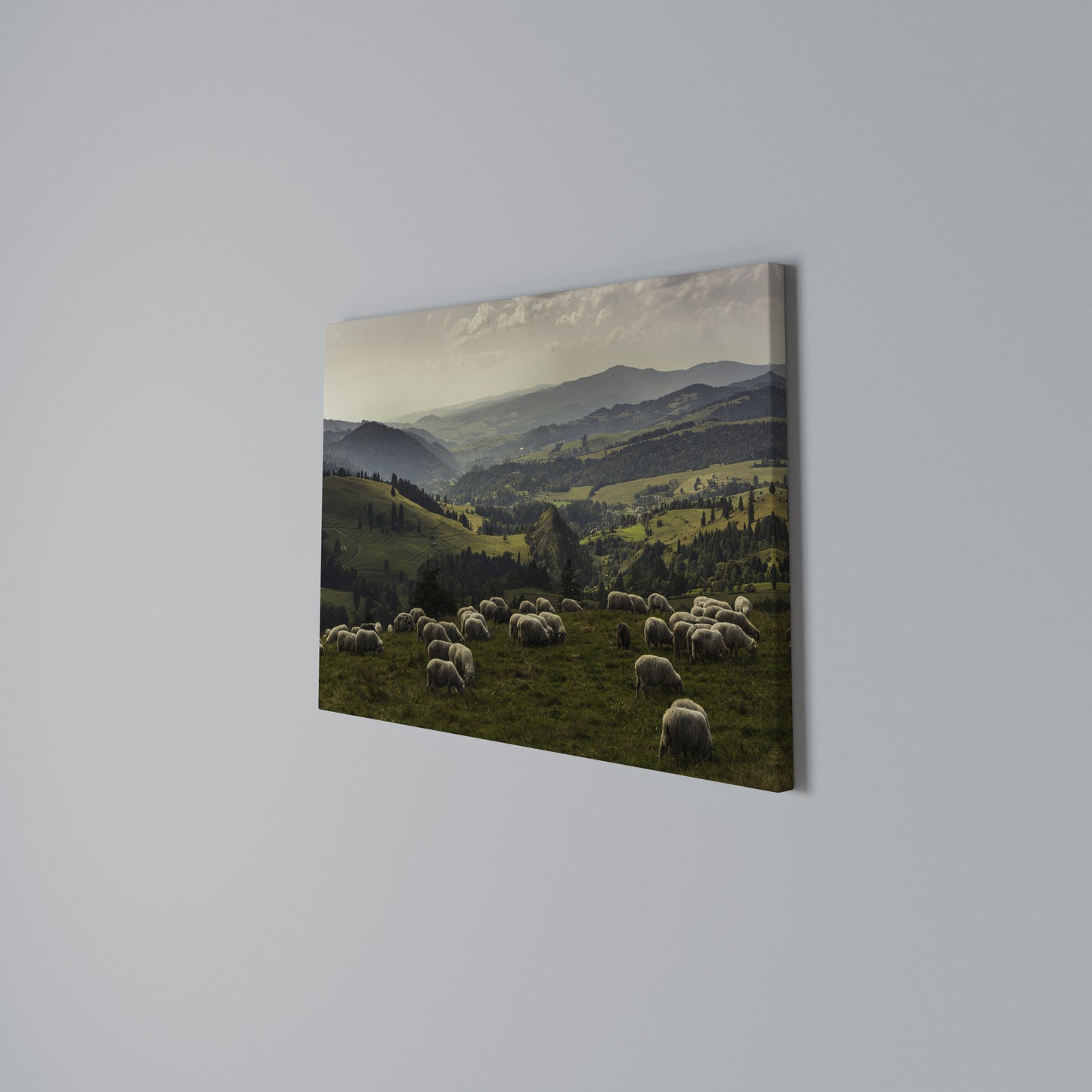 SHEEP IN SERENITY Horizontal Canvas Print