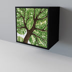 WILDERNESS DASH Aparador de 1 Porta em Acabamento Preto