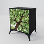 WILDERNESS DASH Aparador de 1 Porta em Acabamento Preto