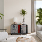 GRAY FIGURES 2-Door Sideboard in Black Finish