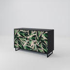 EERIE STROMANTHE 2-Door Sideboard in Black Finish