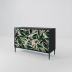 EERIE STROMANTHE 2-Door Sideboard in Black Finish