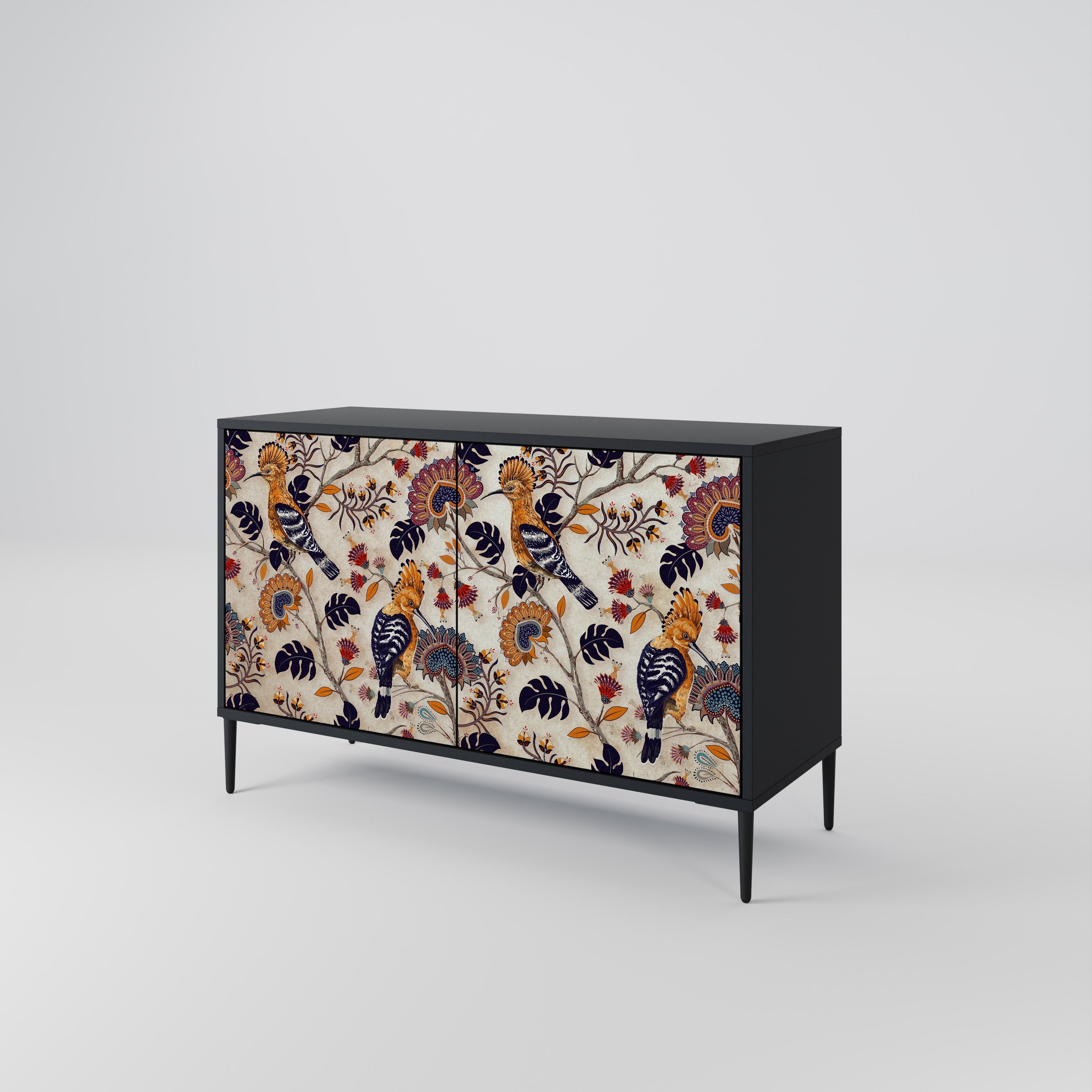 EMINENT HOOPOE 2-Door Sideboard in Black Finish