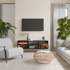 FIGURES OF NATURE 2-Door TV Stand in Black Finish