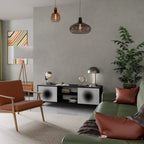 BLACK HOLE 2-Door TV Stand in Black Finish