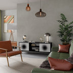 BLACK HOLE 2-Door TV Stand in Black Finish