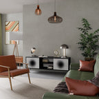 BLACK HOLE 2-Door TV Stand in Black Finish