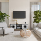 BLACK HOLE 2-Door TV Stand in Black Finish