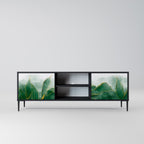 EXPENSIVE NATURE 2-Door TV Stand in Black Finish