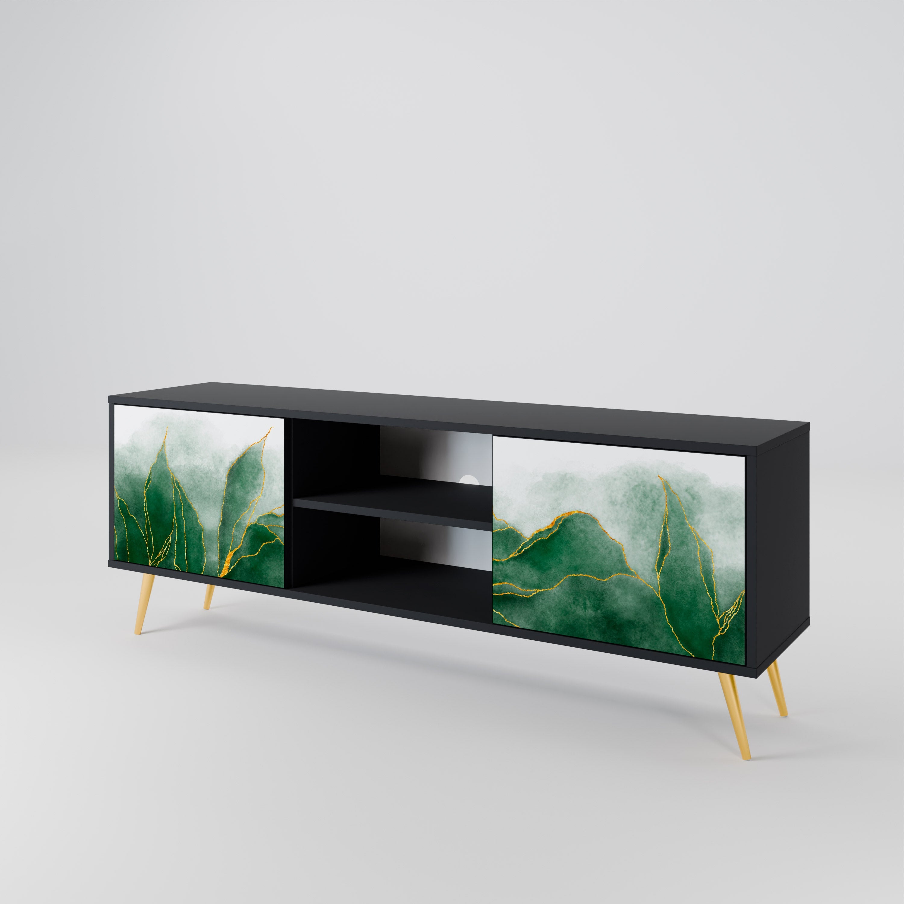 EXPENSIVE NATURE 2-Door TV Stand in Black Finish