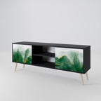EXPENSIVE NATURE 2-Door TV Stand in Black Finish