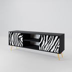 SPLENDID ZEBRA 2-Door TV Stand in Black Finish