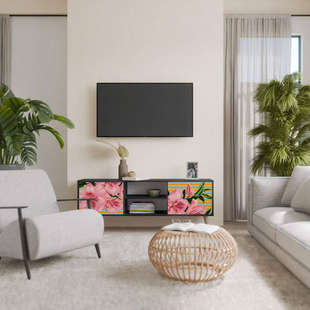 FRAGILE BEAUTY Móvel de TV com 2 Portas em Acabamento Preto