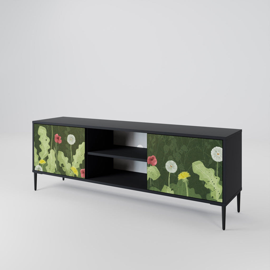 DANDELION AMUSE 2-Door TV Stand in Black Finish