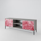 SWEET TROPICS 2-Door TV Stand in Grey Finish