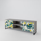 LEMON TREE 2-Door TV Stand in Grey Finish