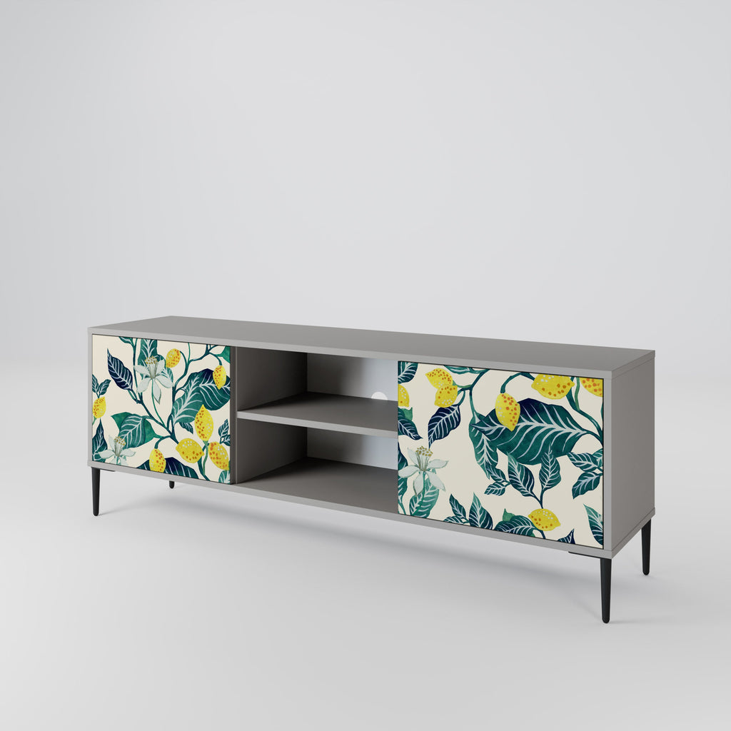 LEMON TREE 2-Door TV Stand in Grey Finish