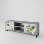 ELEGANT BOTANICS 2-Door TV Stand in Grey Finish