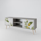 ELEGANT BOTANICS 2-Door TV Stand in Grey Finish
