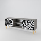 SPLENDID ZEBRA Móvel de TV com 2 Portas em Acabamento Cinzento