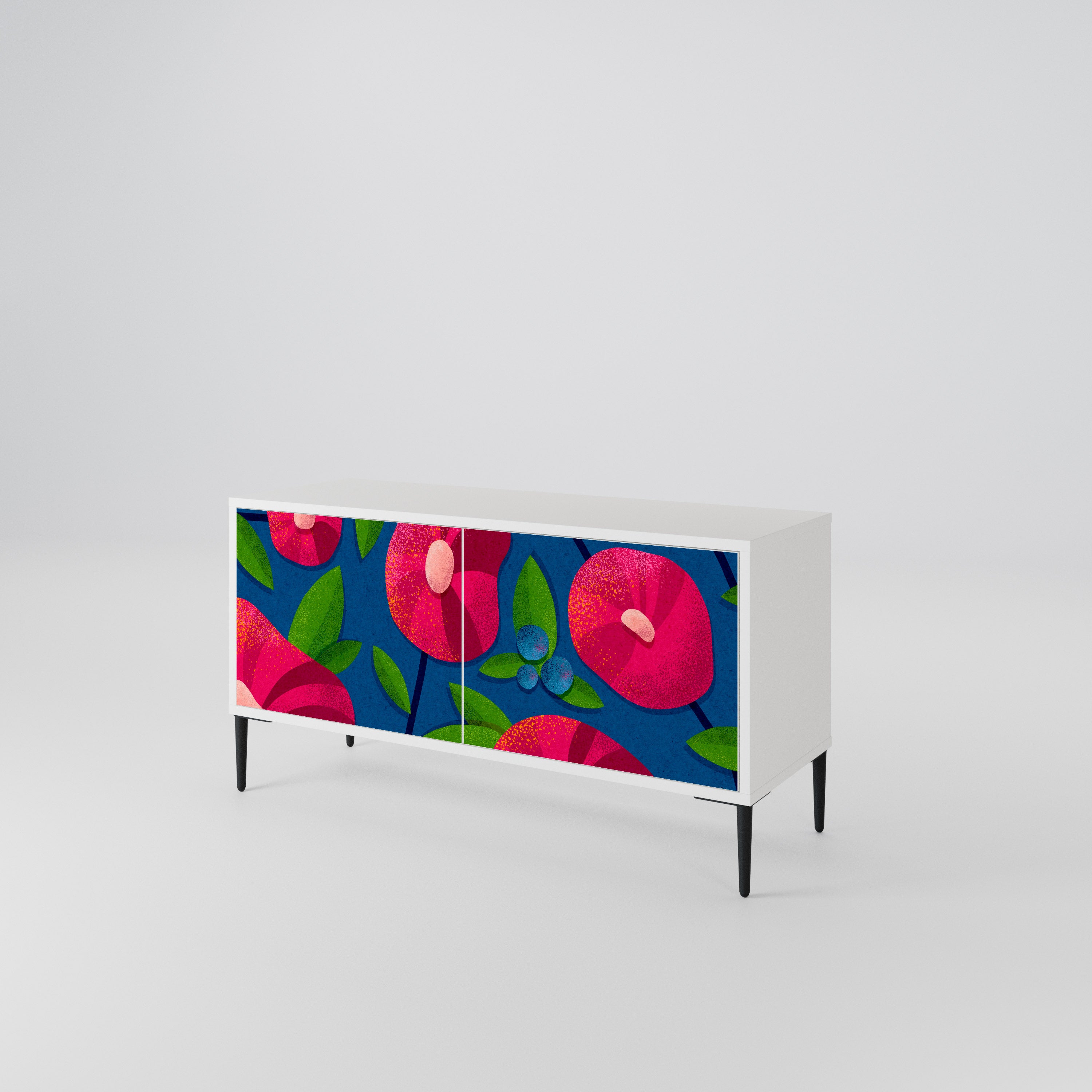 SPRING THOUGHTS Compact 2-Door TV Cabinet