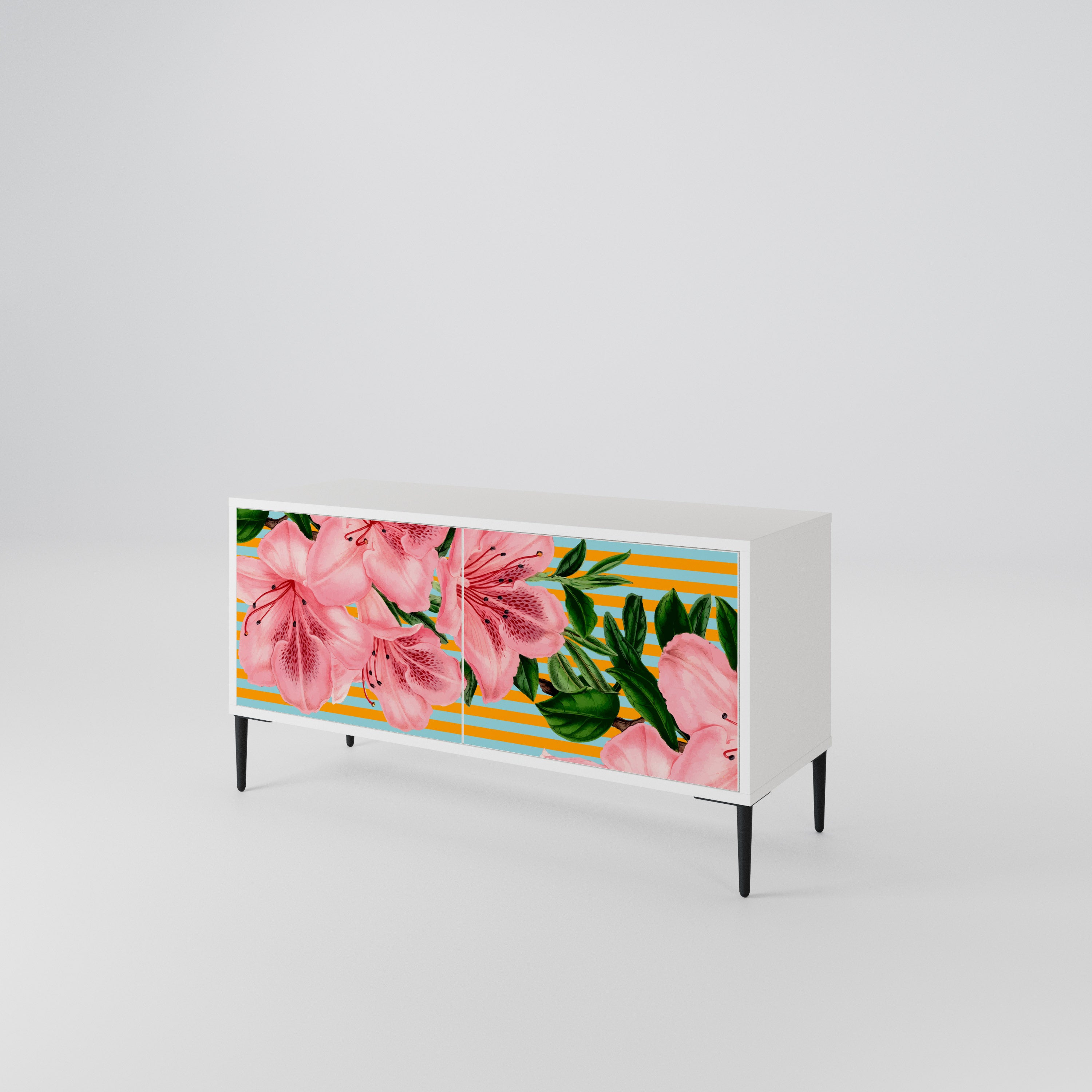 FRAGILE BEAUTY Compact 2-Door TV Cabinet