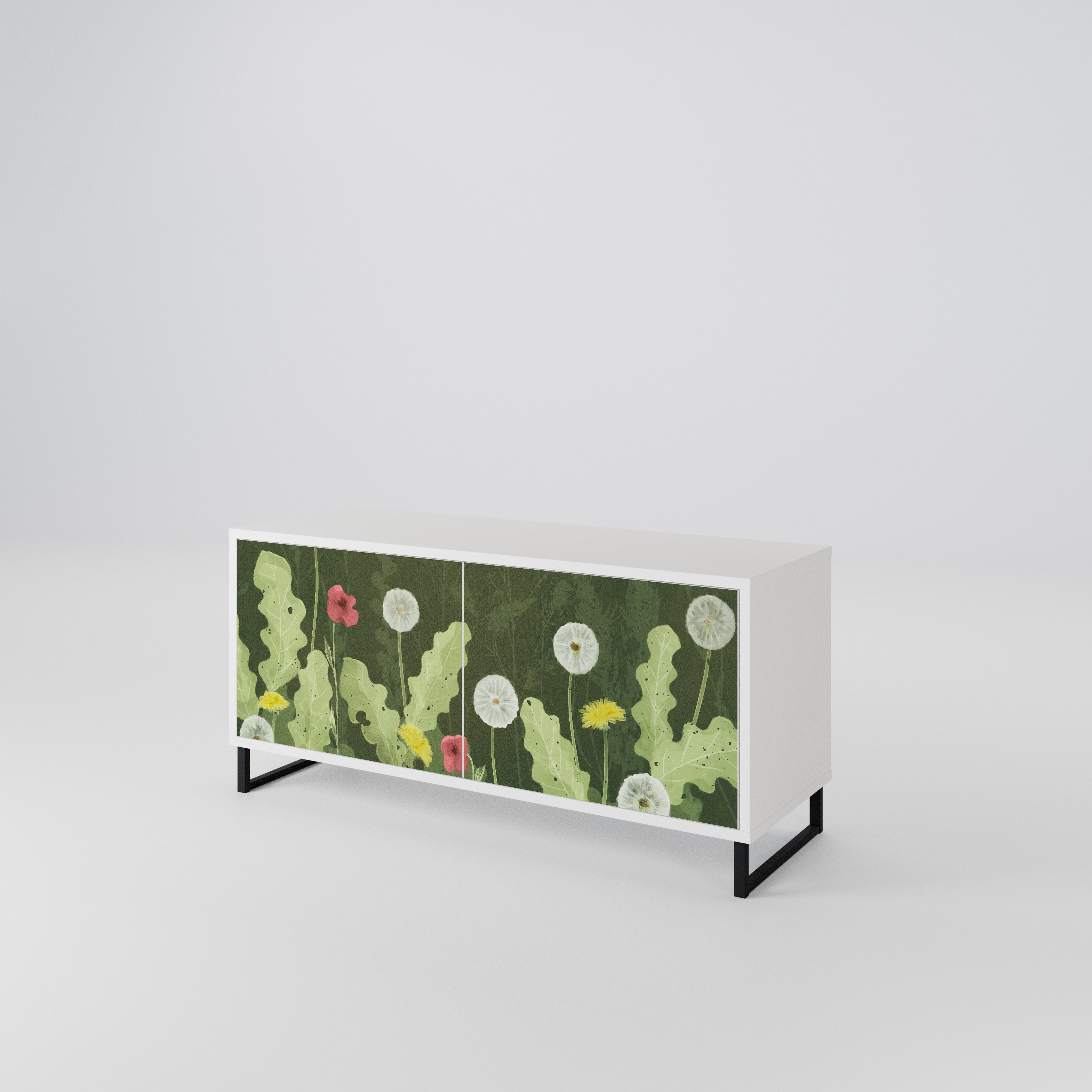 DANDELION AMUSE Compact 2-Door TV Cabinet