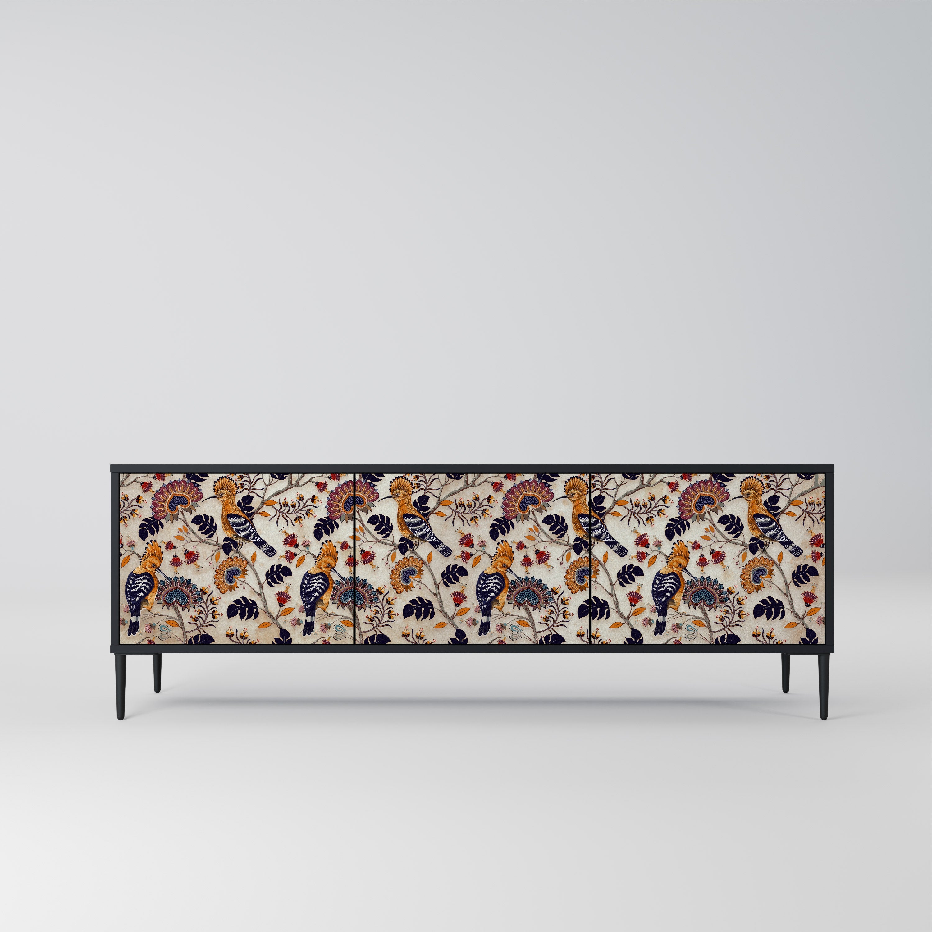 EMINENT HOOPOE 3-Door TV Stand in Black Finish