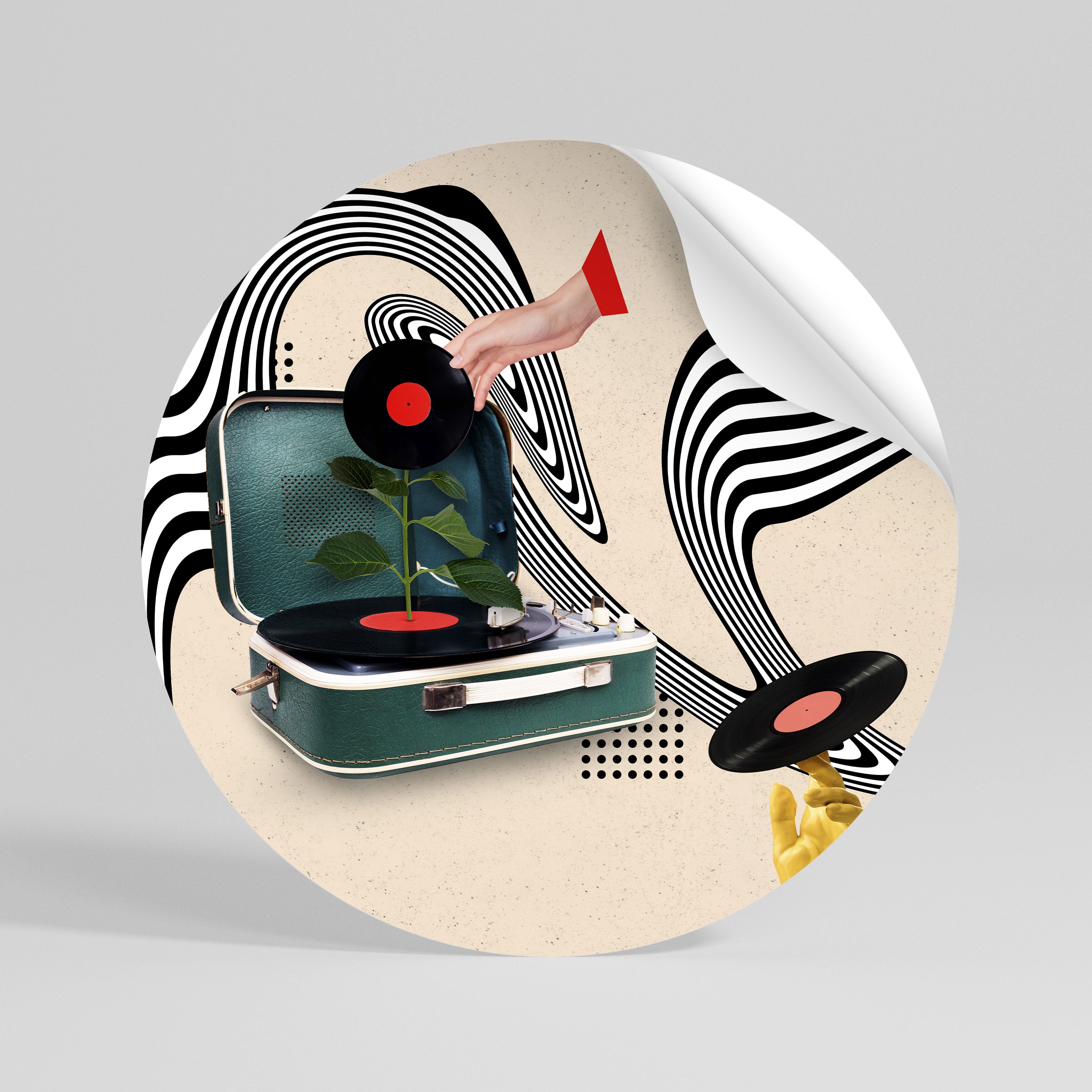 VINYL VARIATION Autocolante Redondo Removível