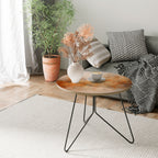 AMBER WHISPERS Mesa de Centro 69