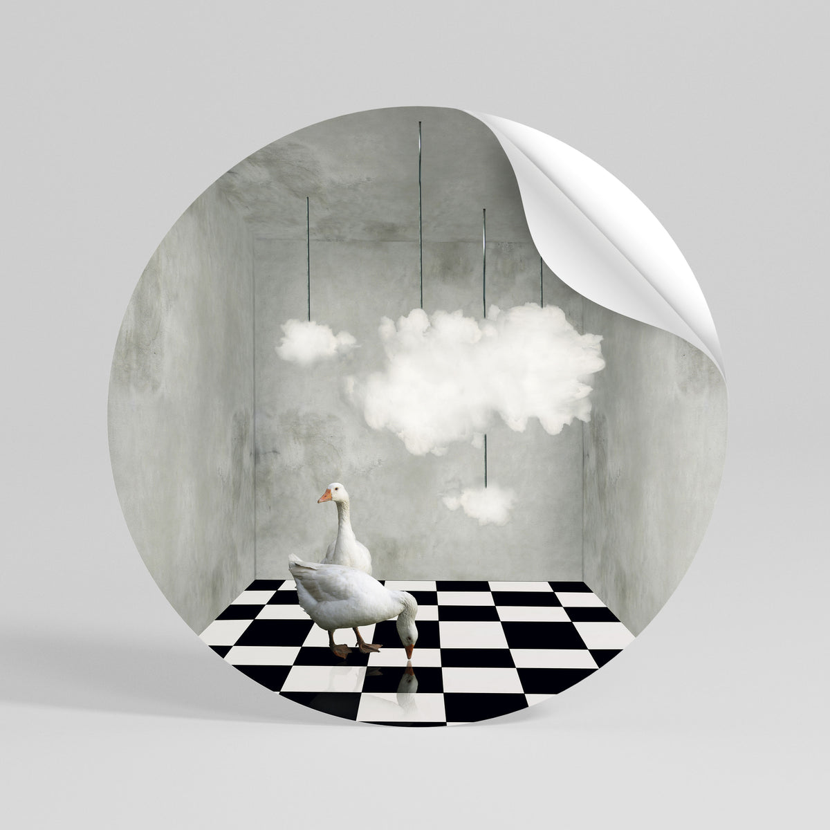 CHESS CLOUD SWAN Autocolante Redondo Removível