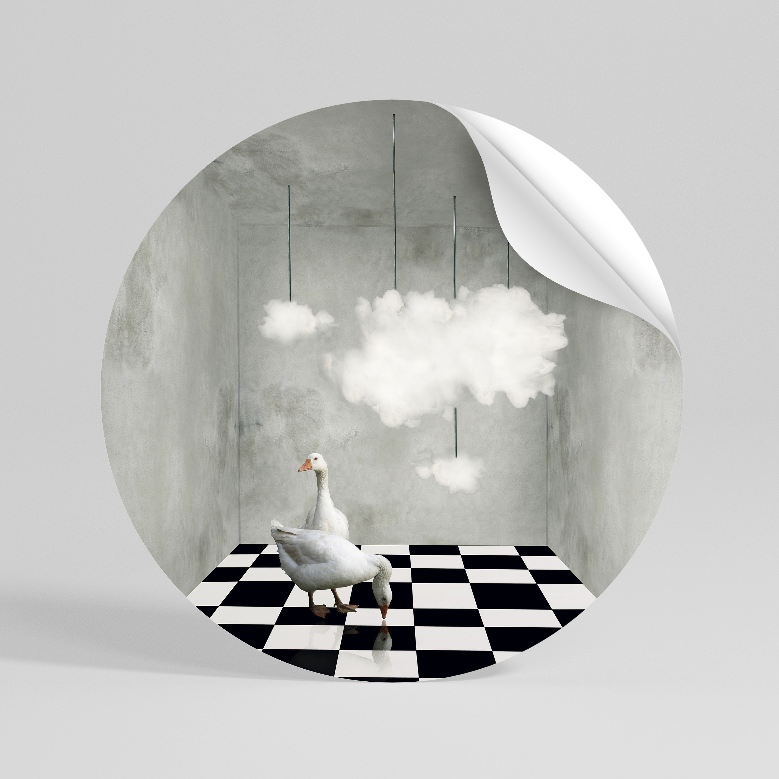CHESS CLOUD SWAN Autocolante Redondo Removível