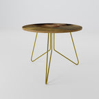 ETHEREAL ECOUNTER Coffee Table 69