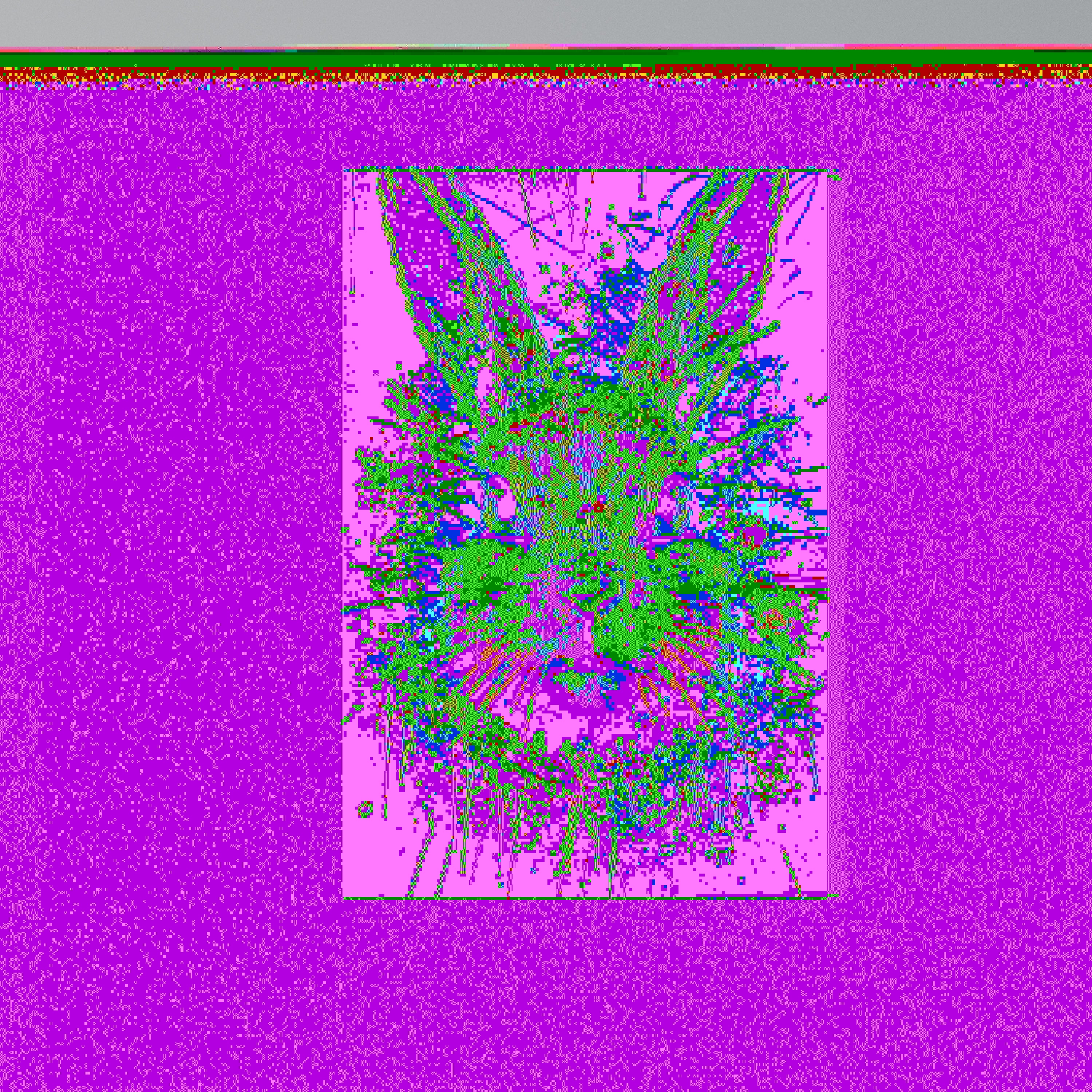 DON'T FOLLOW THE RABBIT Quadro em tela vertical
