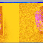 TRANSCENDENTAL HARMONY Quadro em tela vertical