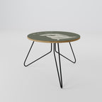 MATISSE NUDES Coffee Table 60