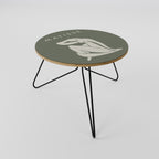 MATISSE NUDES Coffee Table 60