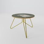 MATISSE NUDES Coffee Table 60