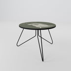 MATISSE NUDES Coffee Table 60
