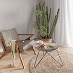 ROOTS OF TIME Mesa de Centro 60