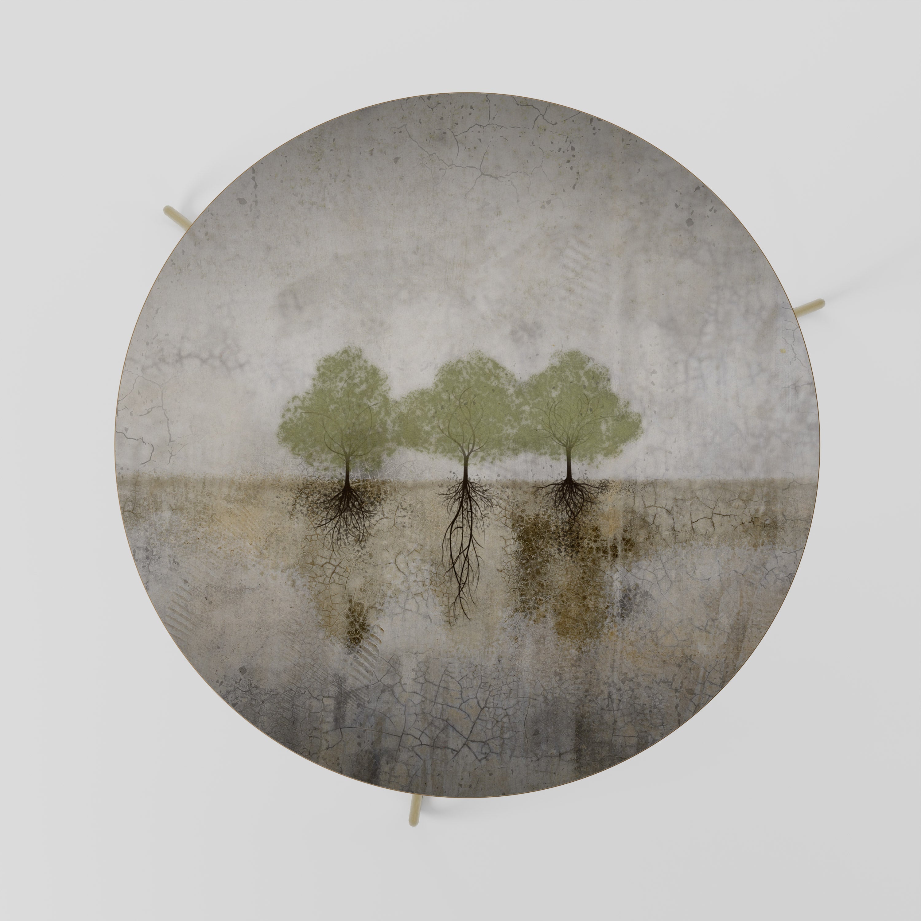 ROOTS OF TIME Mesa de Centro 69