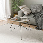 FROZEN IN TIME Coffee Table