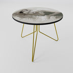 FROZEN IN TIME Coffee Table