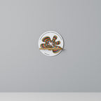 NOSTALGIC ECHOES [DE] Prateleira Redonda Decorativa em Efeito Carvalho