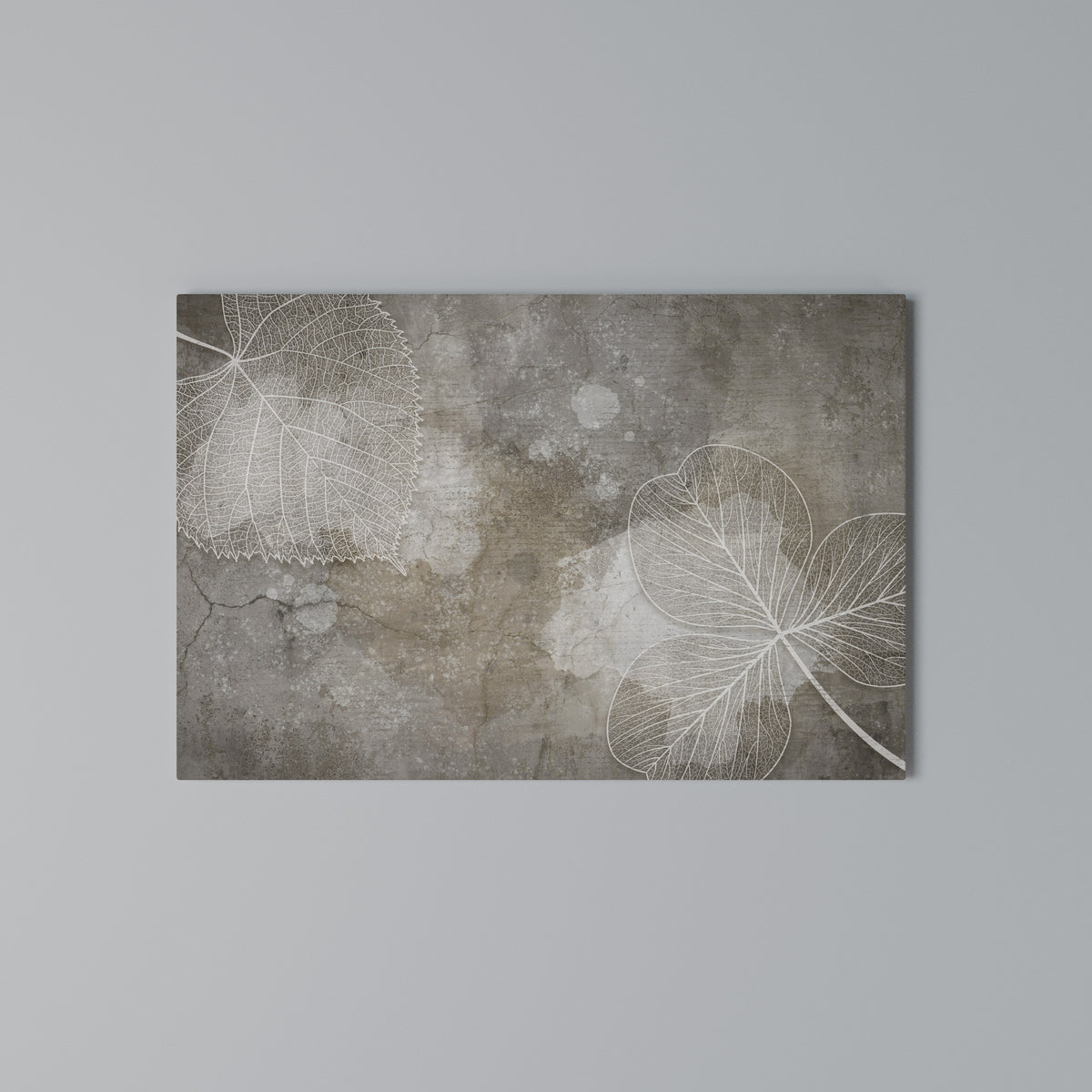 FAIR NERVATION Horizontal Canvas Print