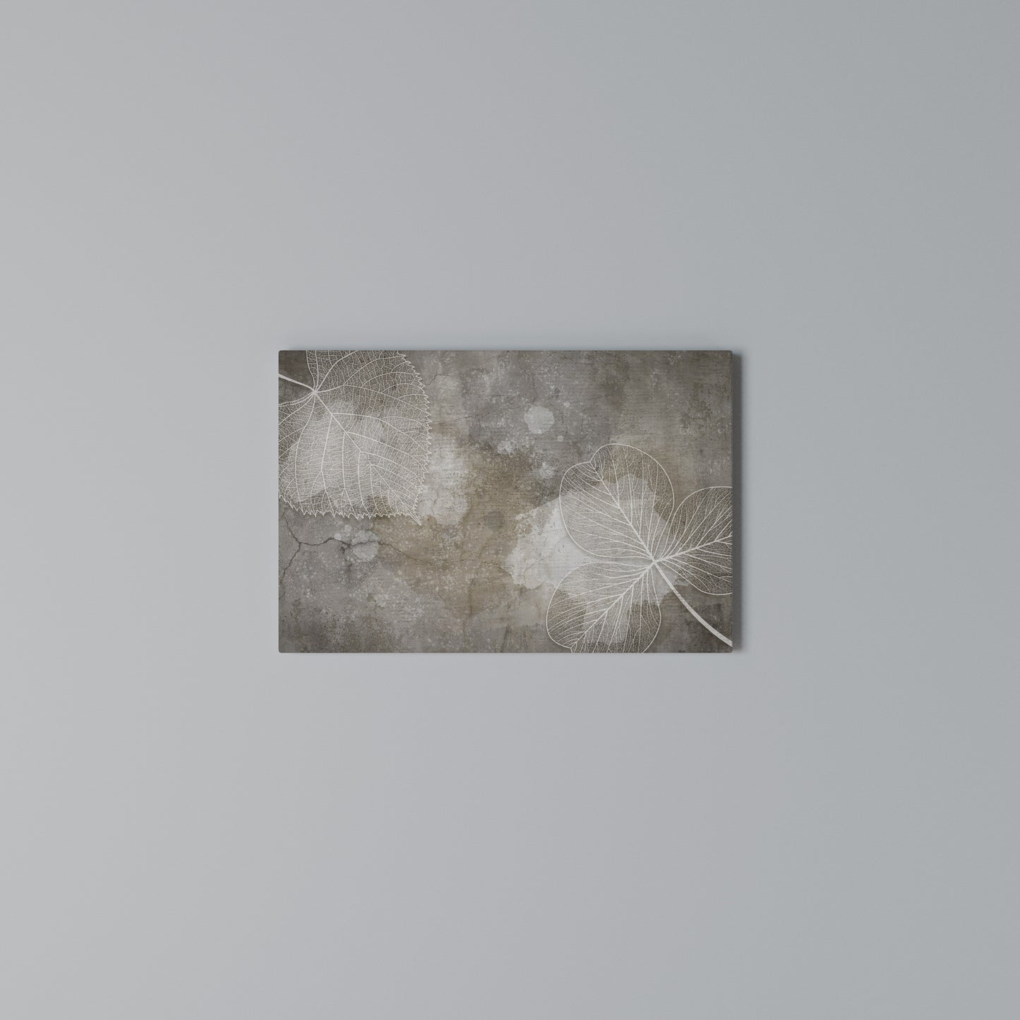 FAIR NERVATION Horizontal Canvas Print