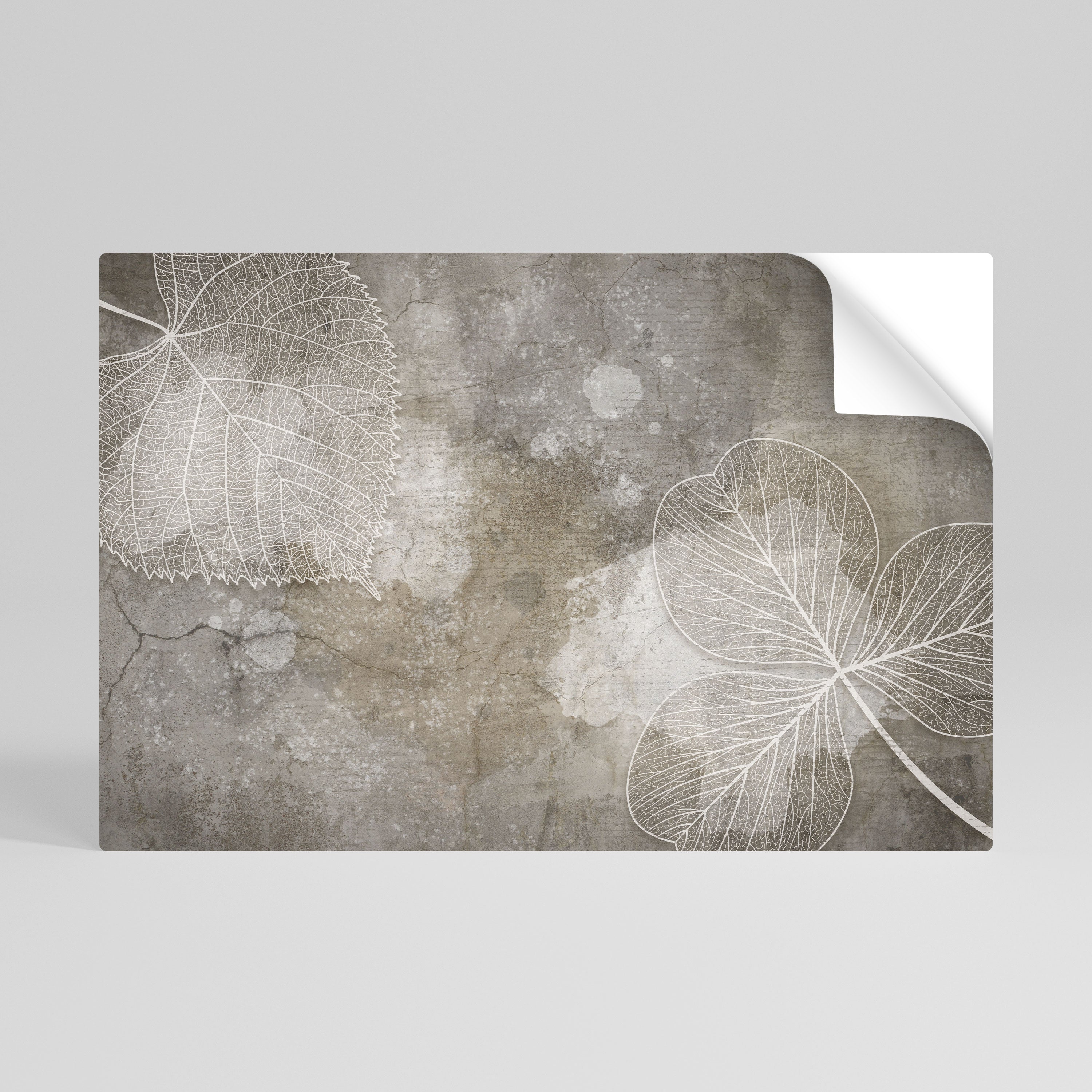 FAIR NERVATION Peel and Stick Horizontal Poster