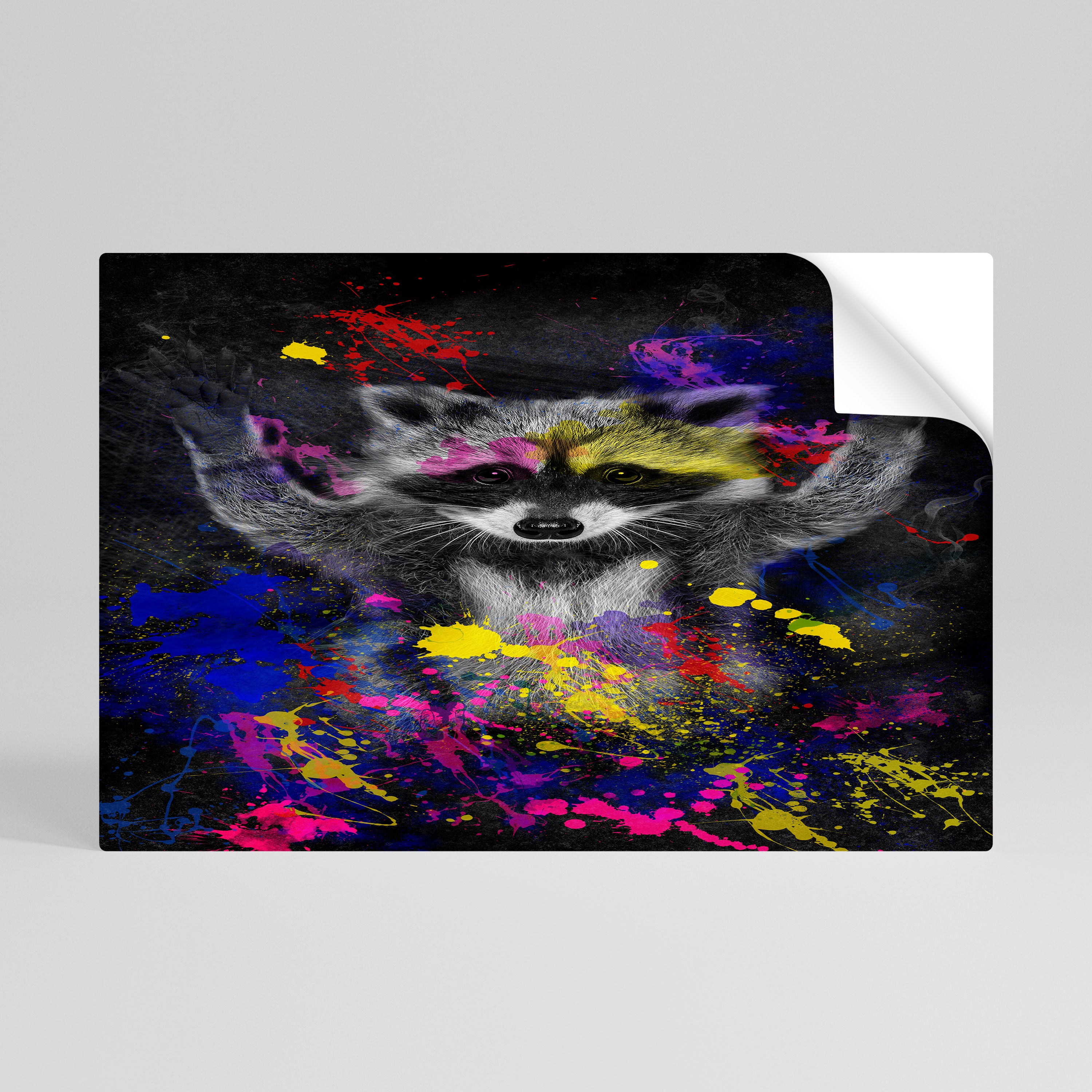 RACCOON ARTISTRY Póster Autocolante Horizontal
